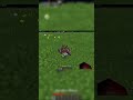 Thanks for the idea @JudeLoSasso #minecraft #gaming #smp
