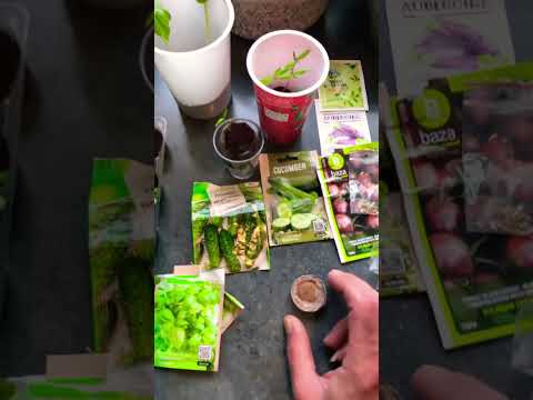 آموزش کشاورزی مدرن از جوانه زدن بذر تا بذرگیری میتونید داخل کانال پیدا کنید بزن اینجا