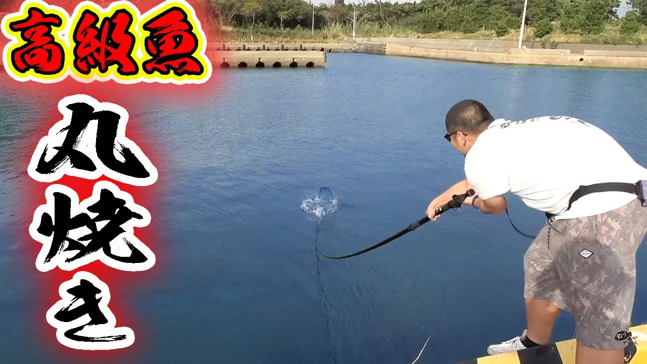 Fishing Trip 5] We grilled a whole luxury fish that cost 3,000 yen