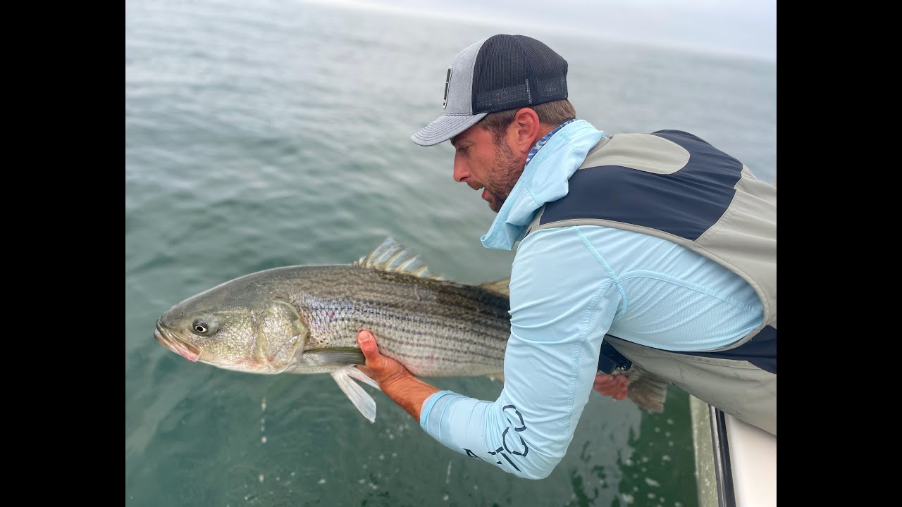 Catching Stripers on Super Strike Poppers