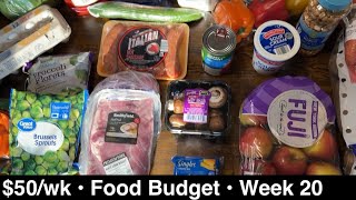 Week 20 ~ $50/Week Food Budget Challenge for 2