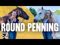 Learn How to Round Pen Like a PRO!