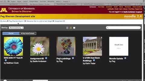 Add a VoiceThread to a Moodle Course Site