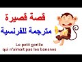 قصة فرنسية قصيرة مترجمة للفرنسية Le petit gorille qui n'aimait pas les bananes