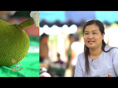 ปฏิบัติการลุกปลุกเปลี่ยน ซีซั่น 2 EP.6 : ปฏิบัติการอาหารปลอดภัยในยโสธร (1/2) - ปฏิบัติการลุกปลุกเปลี่ยน ซีซั่น 2 EP.6 : ปฏิบัติการอาหารปลอดภัยในยโสธร (1/2)