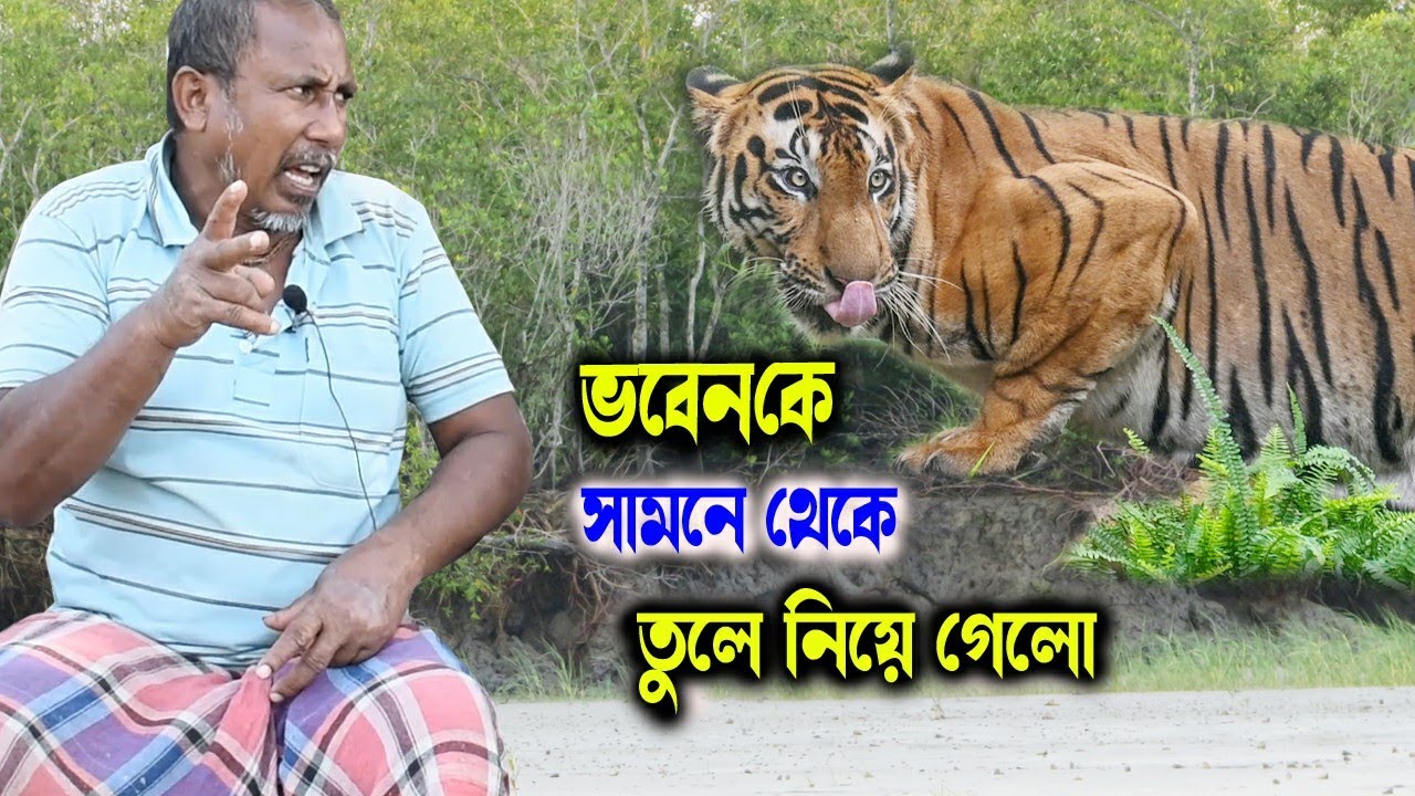 বাঘে তুলে নিয়ে যায় ভবেনকে | সুন্দরবনের বাঘ | Royal Bengal tiger attack | sundarban tiger | sundarban