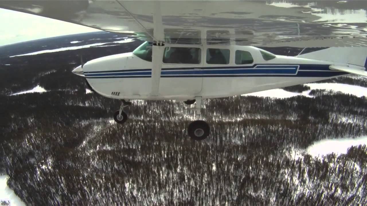environmental tech Grey Ghosts: Searching for Ontario's woodland caribou