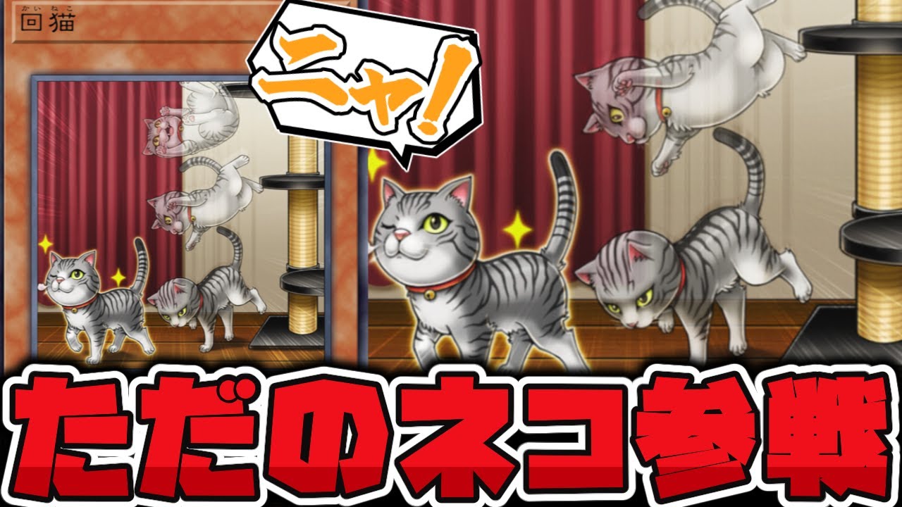 【遊戯王】 これってただの猫では…？回ってるだけなのに凄い！ 『回猫』 【ゆっくり解説】