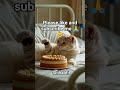 Happy Birthday Cat🎂😸| Cute Cat Birthday Song Video | #tepukkartu #filterchallenge #bome #cat #shorts