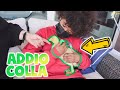 ADDIO PAPERA COLLA!  😭