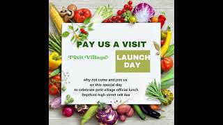 Celebrity Petit Village Net Worth