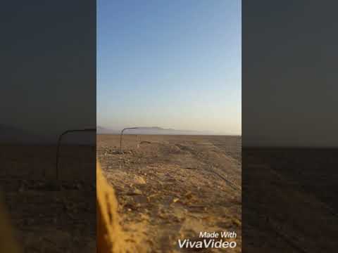 طريقة اصطياد الطيور الجارحة الحر سورية مدينة الرحيبة