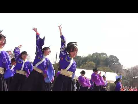 阿見YOSAKOI'26 尚志高校よさこい部MINERVA - 花蕾 MIRAI