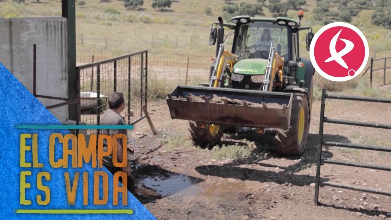 Tractor y pala en mano para limpiar el cebadero | El campo es vida
