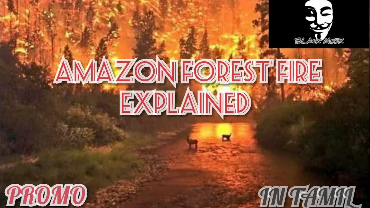 Amazon forest fire with full details | Promo | Explained in Tamil | Bla©k m@sk