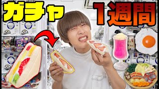 ガチャで獲ったものしか食べれない！何が出るか運まかせ1週間生活が超過酷！【ガチャガチャの森】