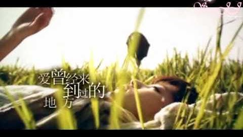[Vietsub] Angel