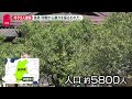 【住宅に母子3人遺体】長男「母親から暴力を振るわれた」長野