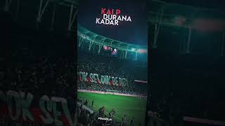 Bjk 1903