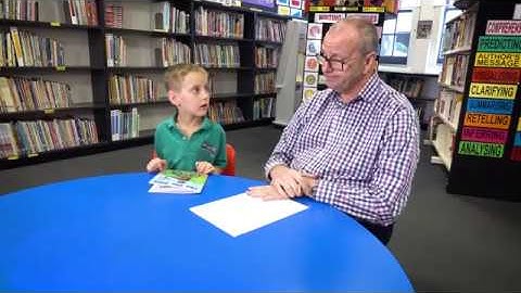 PM Benchmark Reading Assessment Resource