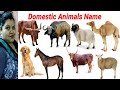 CUTE ANIMALS Video Cow, Buffalo, Pig, Cat || Learn Domestic Animals Name || Animals name || #cow ||