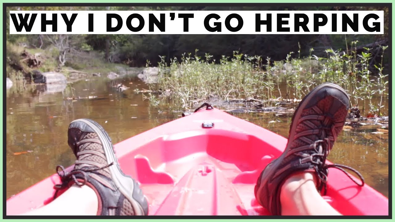 Why I Don't Go Herping