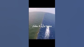 {مرج البحرين يلتقيان}❤️سورة الرحمن❤️|بصوت الشيخ|ياسر الدوسري🥰|راحه نفسيه☺️