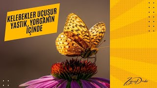 KELEBEKLER UÇUŞUR YASTIK, YORGANIN İÇİNDE