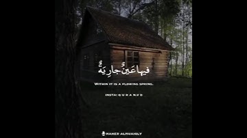 وجوه يومئذ ناعمة لسعيها راضية (سورة الغاشية) القرآن الكريم