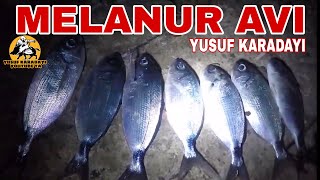 Sargoza Ni̇yet Melanura Kismet