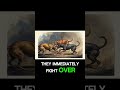 Wild Dog vs  Merchant  Your Two Financial Brains #FinancialLogic #WealthArchitecture