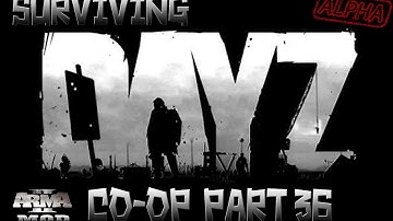 Arma 2 DayZ - Surviving Co-op - Part 36 - Dan "Leeroy" Jenkins