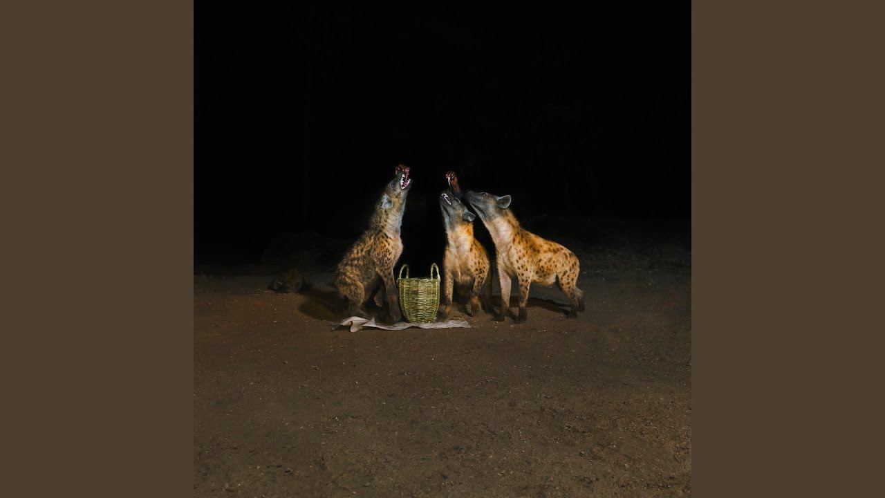 Watch Graveyards on YouTube Watch Graveyards on YouTube