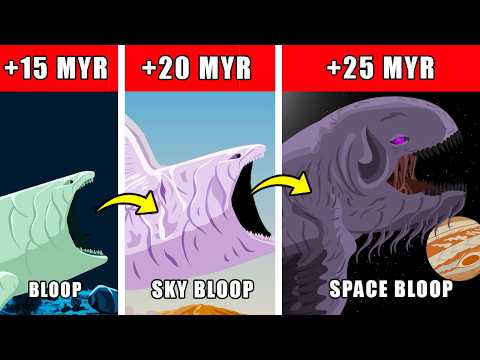 Space Bloop Origin Evolution: How Space Bloop Could Have Evolved