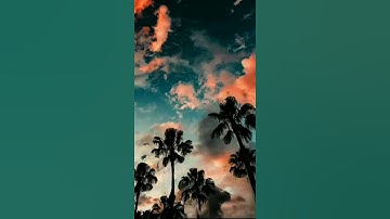 القارئ: سالم الرويلي || فَقُلْتُ ٱسْتَغْفِرُوا۟ رَبَّكُمْ إِنَّهُۥ كَانَ غَفَّارًا