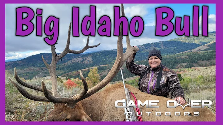 Monster Idaho Bull Elk - 1 shot with a .270.....Girls and Guns!