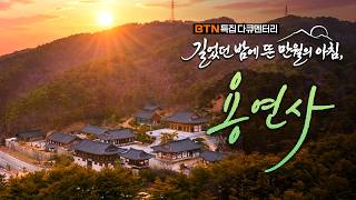 부처님의 진신사리로 새 부처님을 모시다 | 길었던 밤에 뜬 만월의 아침 용연사