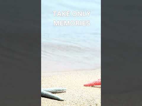 Vacation And Food Quotes