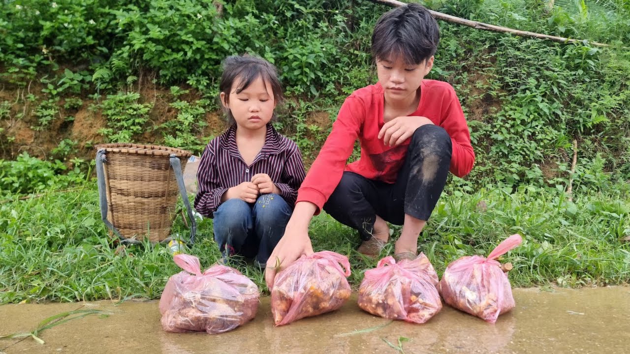 Homeless girl and poor boy dig black turmeric to sell for money to buy food