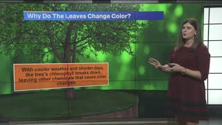 Get ready for fall colors Wealth