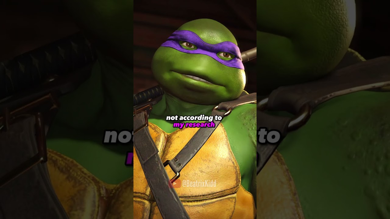 Ninja Turtles Meet Raiden