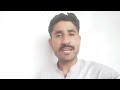 أي طائر ي عرف باسم ملك السماء