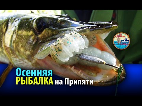 хорошая погода для рыбалки осенью