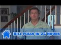 Home Pest Control : How to Kill Fleas in 24 Hours