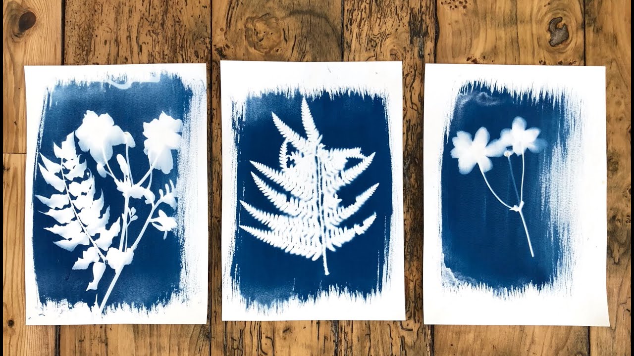 Advanced cyanotype prints 
