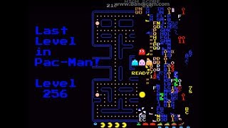 (Pac-Man) Level 256 the last level in the game