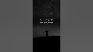 اكتب شيء تؤجر عليه 💚😴 / القارئ عبد الباسط | قران كريم | راحة نفسية