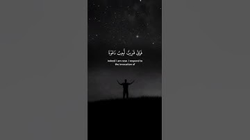 اكتب شيء تؤجر عليه 💚😴 / القارئ عبد الباسط | قران كريم | راحة نفسية