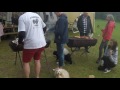HAV 動画写真14a