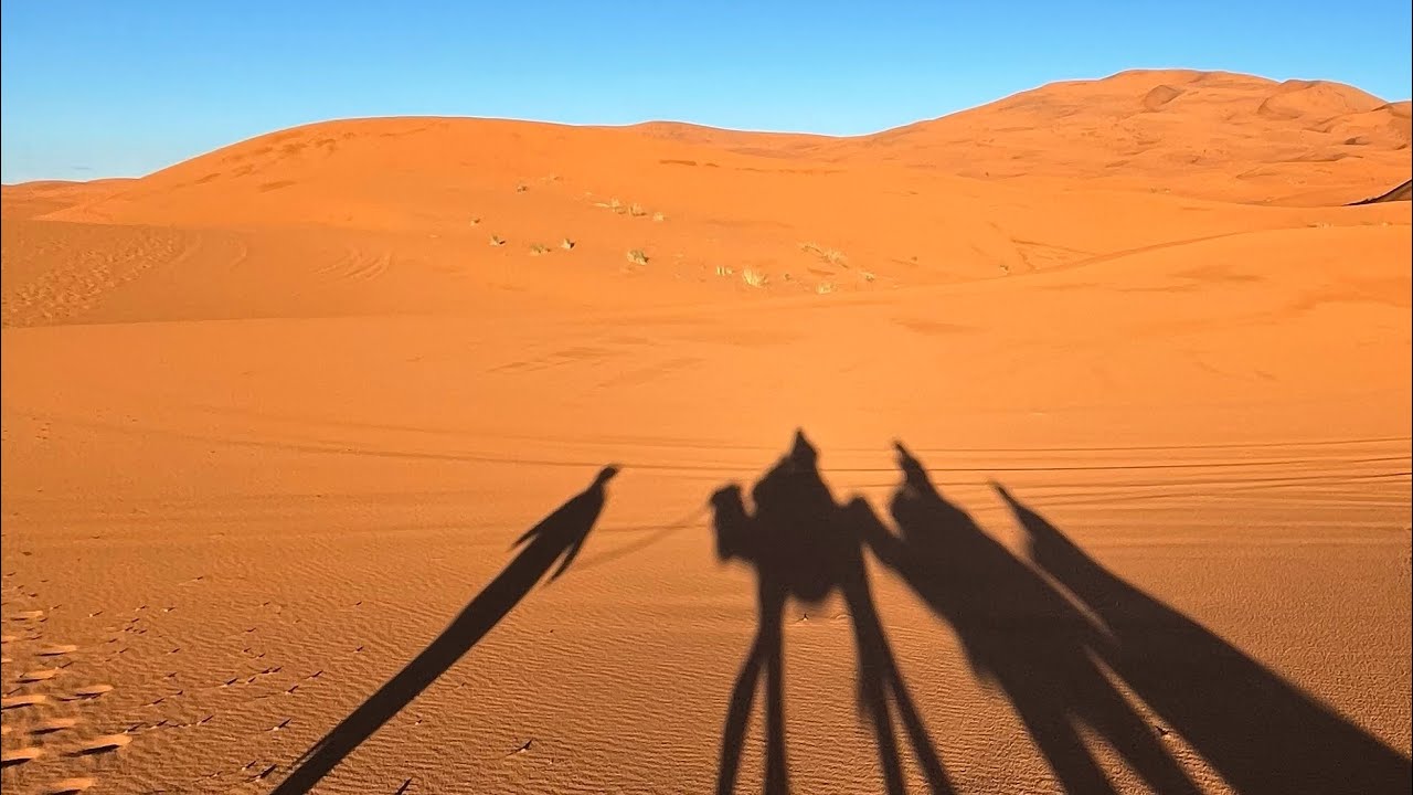 Merzouga’s gold sands heal the soul!